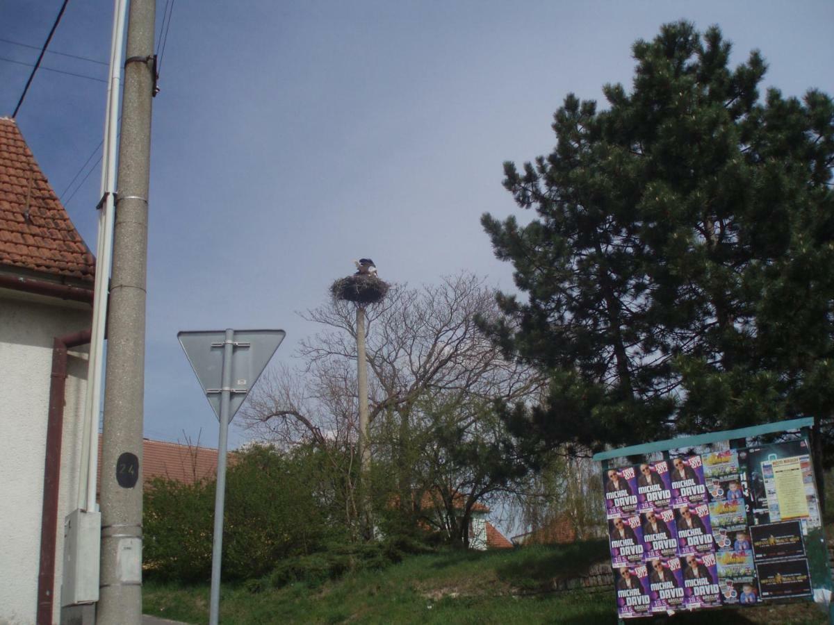 "U Capa" Krasny Apartman V Sedleci Седлец Экстерьер фото